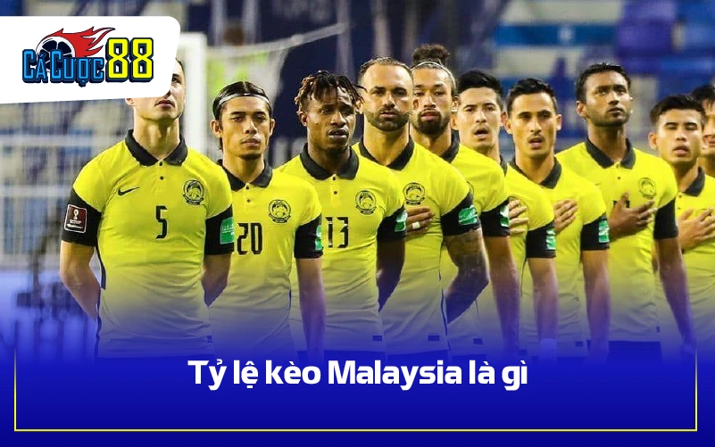 Tỷ lệ kèo Malaysia là gì